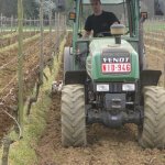 Sprankelend Hageland op wijndomein Chartreuzenberg