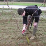 Sprankelend Hageland op wijndomein Chartreuzenberg
